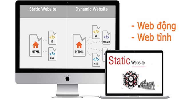 Website có những loại nào?